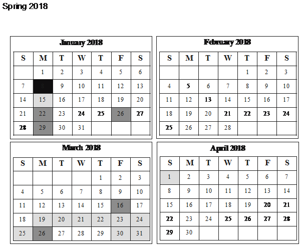 2018 Spring Semester